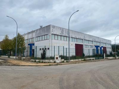 Santiago do Cacém, Setúbal 7565-214, Portugal