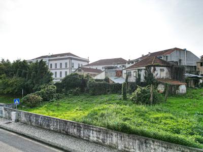 Estarreja, Aveiro 3860-355, Portugal