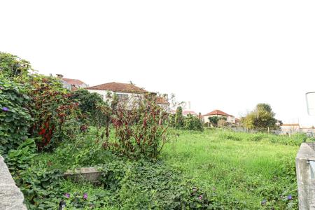 Estarreja, Aveiro 3860-355, Portugal