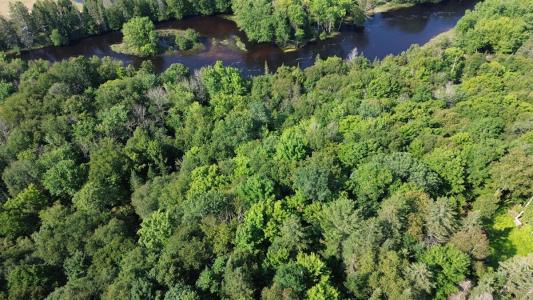 Ch. du Boisé-Ryan, Mont-Tremblant, Quebec J8E 1S2, Canada