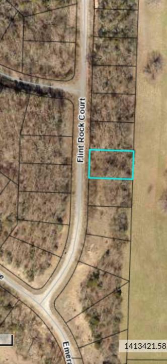 000 Flint Rock Court, Hollister, Missouri 65672, Stati Uniti