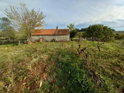 Castelo Branco, Castelo Branco 6000-590, Portugal