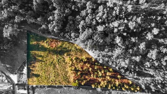 Paços De Ferreira, Porto 4590-325, Portugal