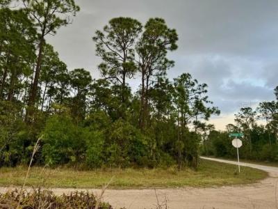 801 YEEHAW AVENUE, CLEWISTON, Florida 33440, Estados Unidos