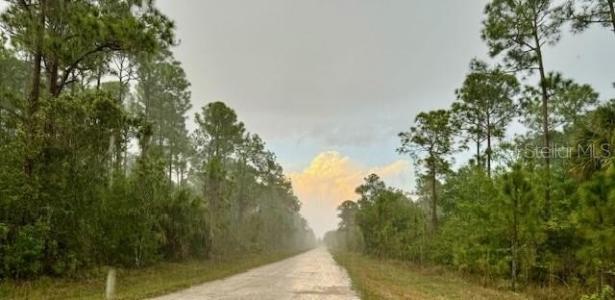 801 YEEHAW AVENUE, CLEWISTON, Florida 33440, Estados Unidos