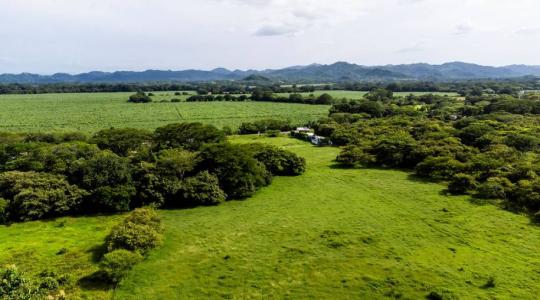 Sardinal Carrillo, Guanacaste 50503, Costa Rica