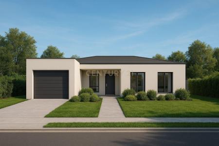 Anadia, Aveiro -, Portugal