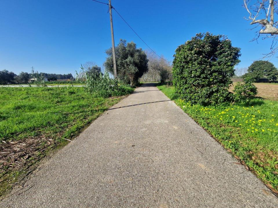 Anadia, Aveiro -, Portugal