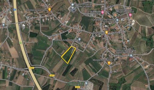 Anadia, Aveiro -, Portugal