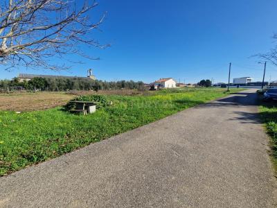 Anadia, Aveiro -, Portugal