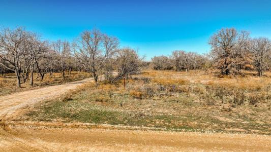 TBD Rambling Road, Perrin, Texas 76486