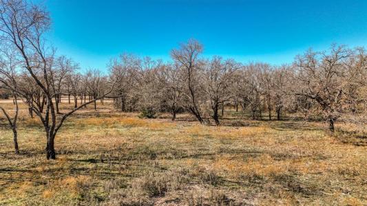 TBD Rambling Road, Perrin, Texas 76486