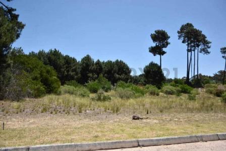 Punta Ballena, Maldonado 00001, Uruguay