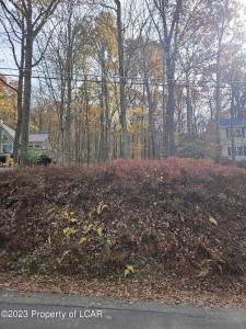 010 Avalanche Lane, Drums, Pennsylvania 18222