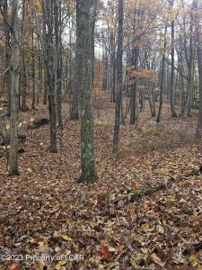 010 Avalanche Lane, Drums, Pennsylvania 18222