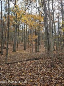 010 Avalanche Lane, Drums, Pennsylvania 18222