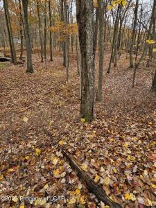 010 Avalanche Lane, Drums, Pennsylvania 18222