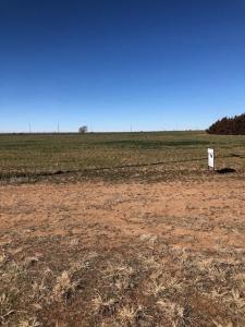 12427 N Fm 179, Shallowater, Texas 79363, USA