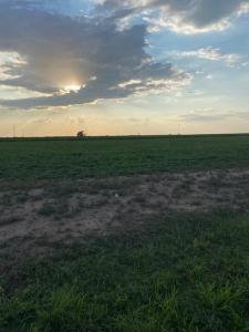12427 N Fm 179, Shallowater, Texas 79363