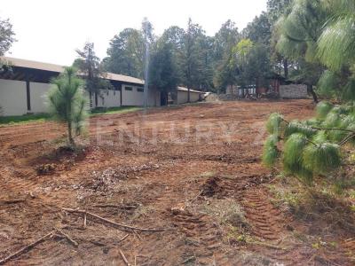 Bosque el manto, sección 1 Mz 10 Lt 16,, Atemajac De Brizuela, Jalisco 45790, Mexico