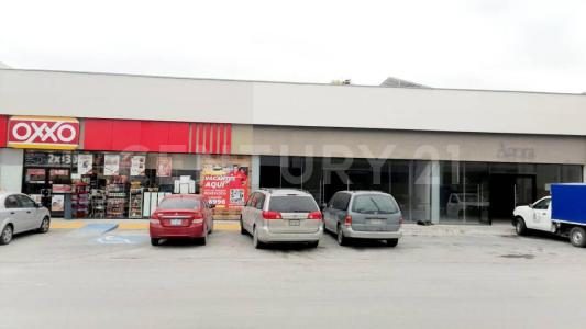 General Escobedo, 누에보레온 66057, 멕시코