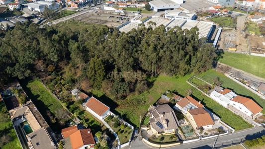 Vale De Cambra, Aveiro 4520-461, Portugal
