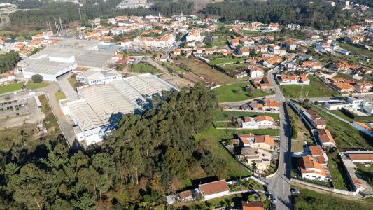 Vale De Cambra, Aveiro 4520-461, Portugal