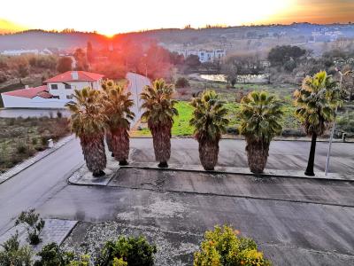 Santa Comba Dão, Viseu 3440-312, Portekiz