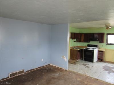 410 Magyar, Wellington, Ohio 44090, USA