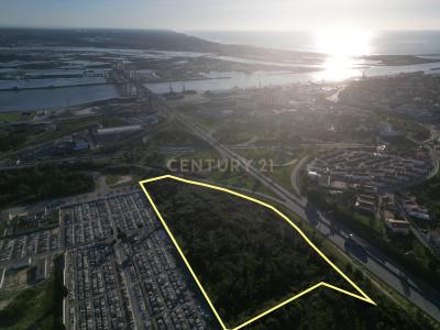 Figueira da Foz, Coimbra 3080-847, Portugal