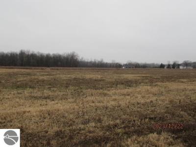 TBD E Pickard Road, Mt Pleasant, Michigan 48858, USA