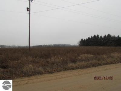 TBD E Millbrook Road, Mt Pleasant, מישיגן 48858, ארצות הברית של אמריקה