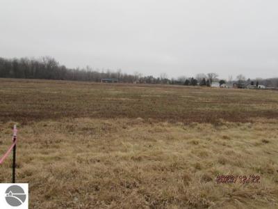 TBD E Pickard Road, Mt Pleasant, Michigan 48858, USA