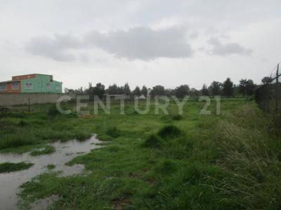 Zona 8, Mz.1, Lt.6 S/N,, Cuautitlán Izcalli, Stato Del Messico 54713, Messico