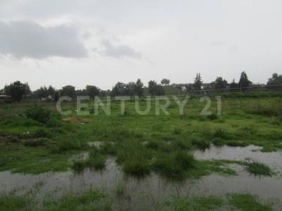 Zona 8, Mz.1, Lt.6 S/N,, Cuautitlán Izcalli, Stato Del Messico 54713, Messico