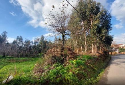 Albergaria A Velha, Aveiro 3800-285, Portugal