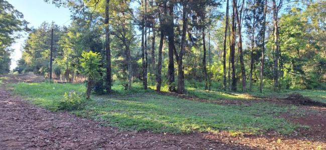 Capitán Miranda, Itapúa 00001, Paraguay