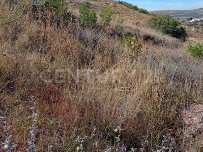 LOTE 1 MANZANA 4 ZONA 1,, Guanajuato, Guanajuato 36250, Mexique