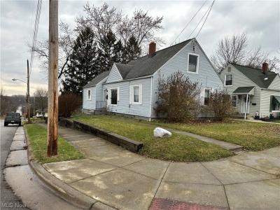 1172 Greenwood Avenue, Akron, Ohio 44320, USA