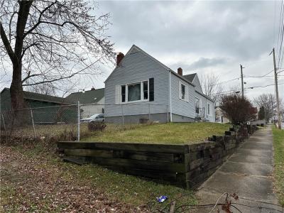 1172 Greenwood Avenue, Akron, Ohio 44320, USA