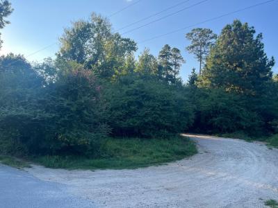 000 Perry Road, Bauxite, Arkansas 72011, USA