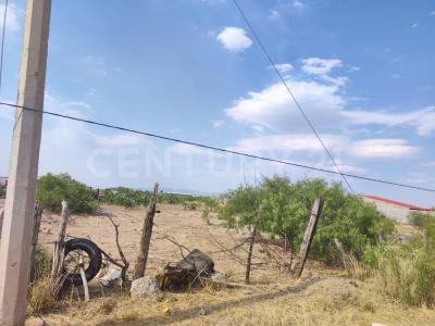 Calle de los Nogales, resto del lote 39 Zona A lote 39,, Aldama, Chihuahua 32918, Meksyk