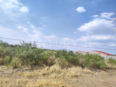 Calle de los Nogales, resto del lote 39 Zona A lote 39,, Aldama, Chihuahua 32918, Meksyk
