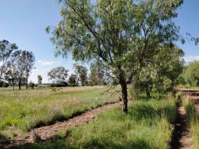 Salida a Queretaro 80,, San Miguel De Allende, ولاية غواناخواتو 37880, المكسيك