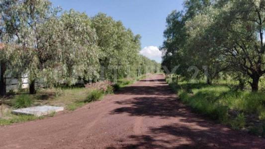 Salida a Queretaro 80,, San Miguel De Allende, ولاية غواناخواتو 37880, المكسيك