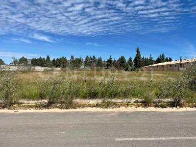 Santa Isabel Xiloxostla, Tlaxcala 90180, México