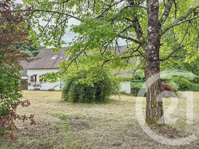 Romorantin Lanthenay, 中部 41200, 法國