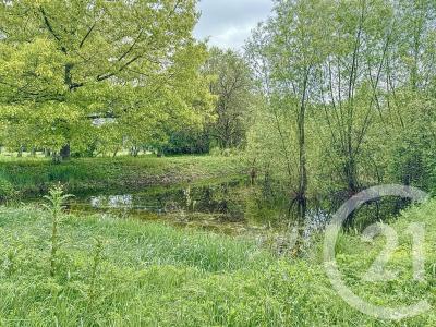 Romorantin Lanthenay, 中部 41200, 法國
