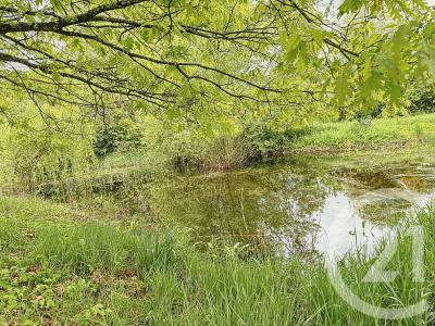 Romorantin Lanthenay, 中部 41200, 法國