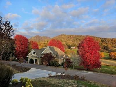 115 Country Club View, Hayesville, شمال كارولينا 28904, الولايات المتحدة